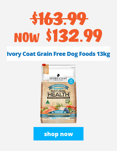 Ivory coat dog food best outlet price